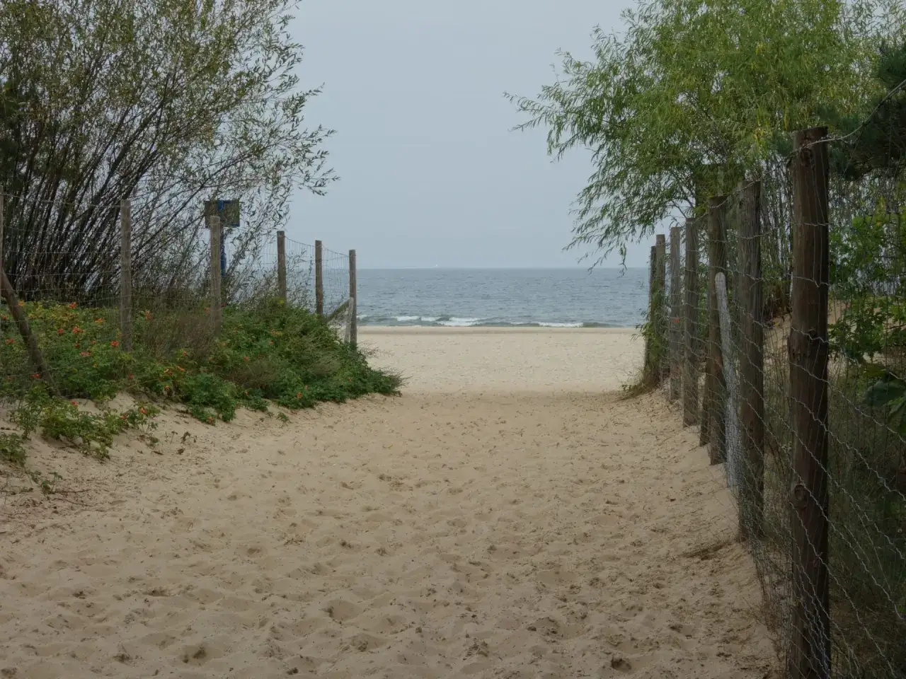Ścieżka przez wydmy prowadzi na piaszczystą plażę w Jelitkowie. W oddali widać morze.