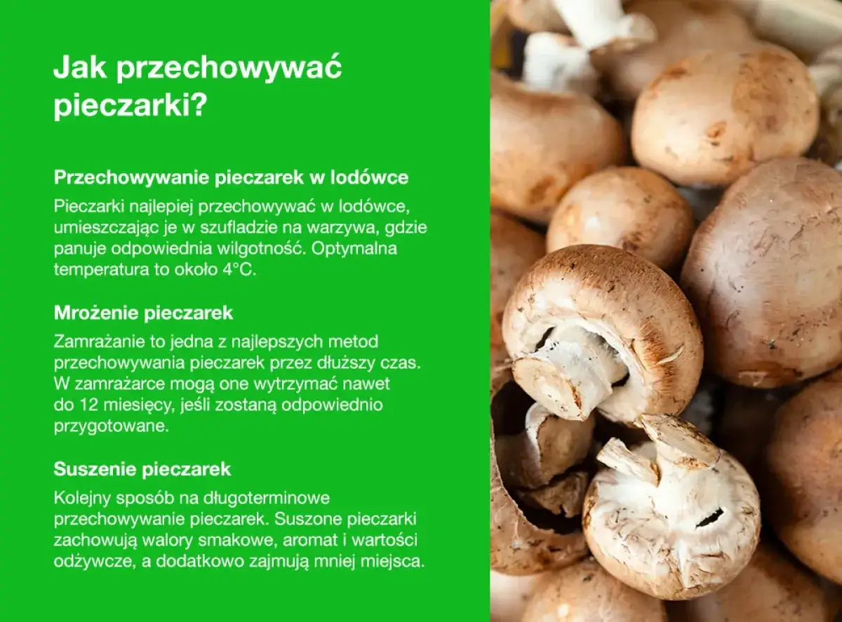 Jak przechowywać pieczarki? Wskaz&oacute;wki dotyczące przechowywania w lod&oacute;wce, mrożenia i suszenia.