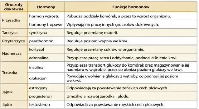 Tabela badań hormonalnych objawy