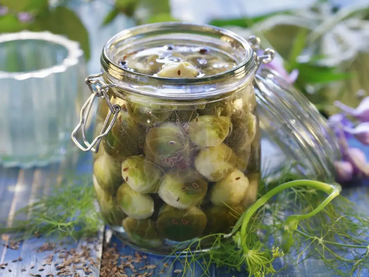 Ein Glas mit eingelegtem Rosenkohl, umgeben von Dill und Kümmelsamen. Perfekt für das Rosenkohl einkochen.