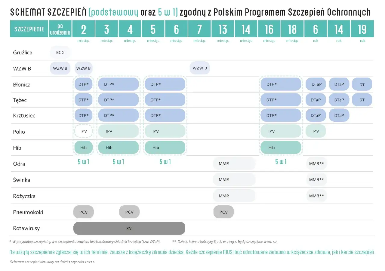 Kalendarz szczepień dzieci w Polsce infografika