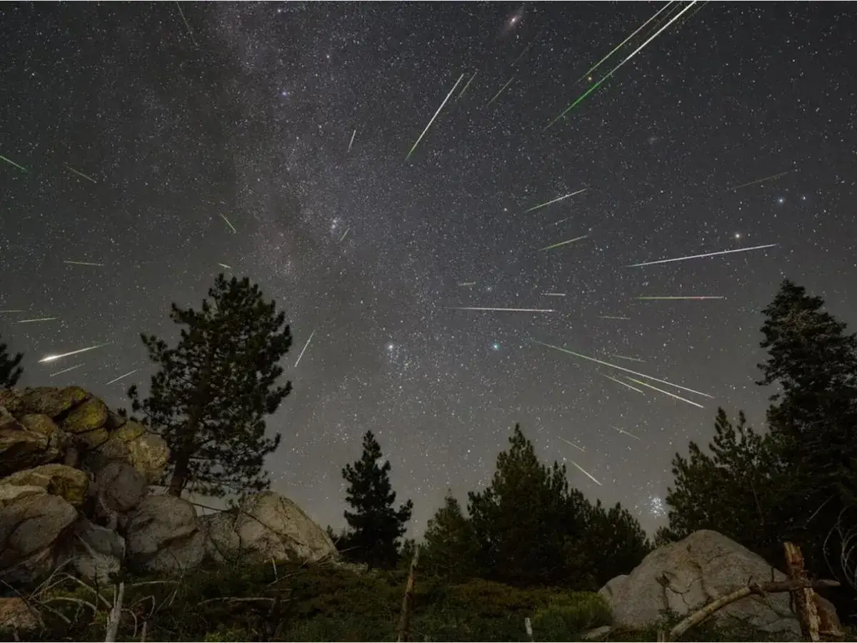 Noche estrellada con múltiples meteoros verdes y blancos cruzando el cielo. Un paisaje montañoso con pinos y rocas sirve de primer plano. ¡Así es hacia donde mirar para ver las Perseidas!