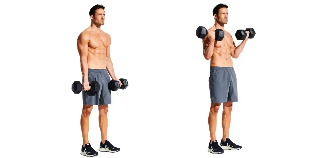 Man utför bicepscurl med hantlar. Bilden visar övningen i två steg: startposition och utförande.
