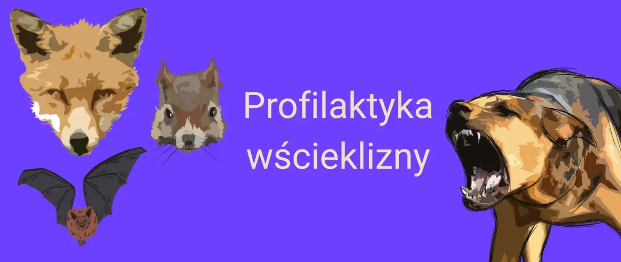 Lis, wiewiórka, nietoperz i pies z otwartym pyskiem. Profilaktyka wścieklizny jest kluczowa.