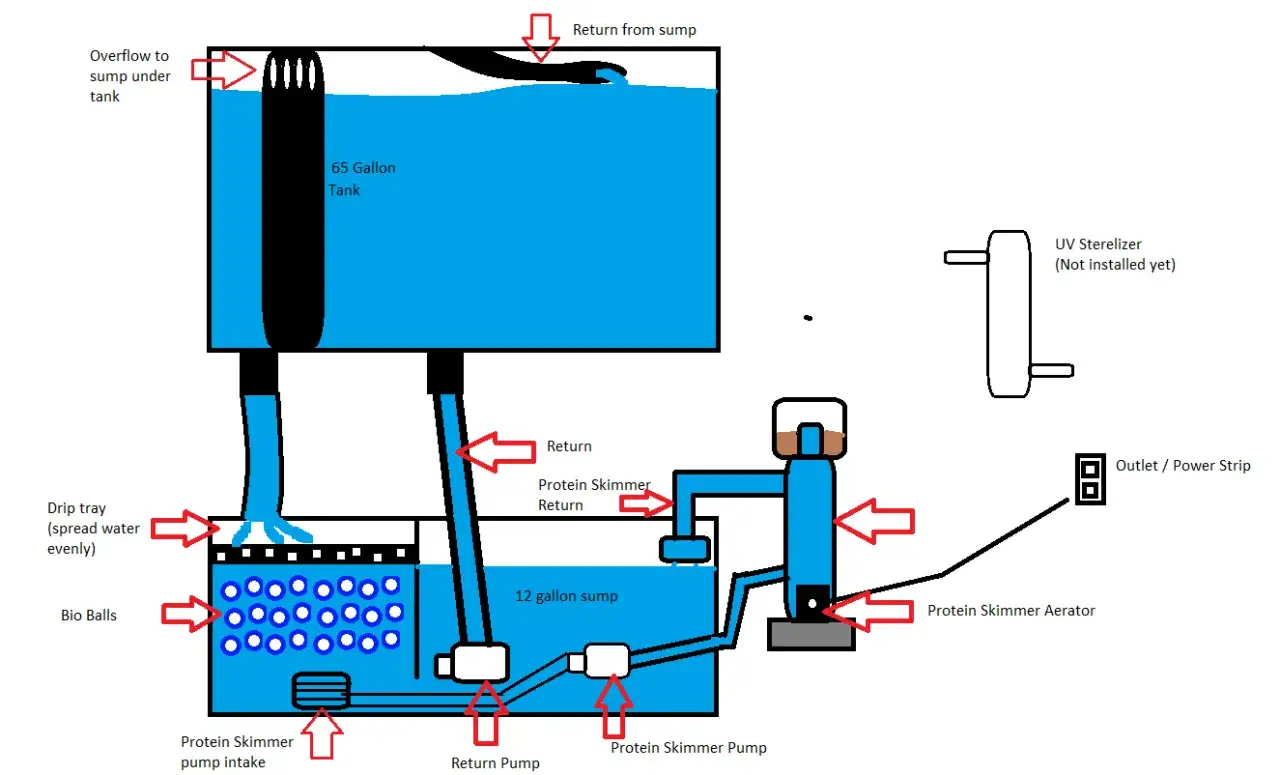 Schemat akwarium z sump. Wady i zalety lampy UV w akwarium: sterylizator UV (nie zainstalowany) może pomóc w walce z glonami i patogenami.