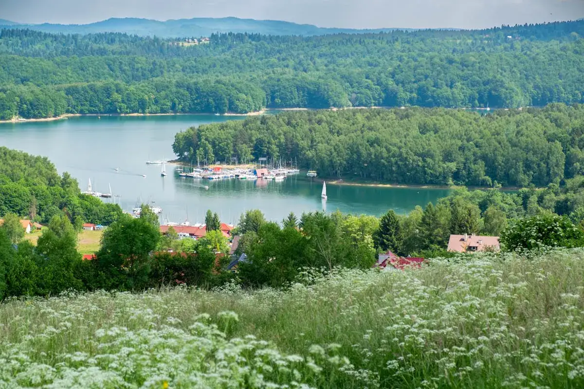 Malowniczy widok na jezioro z żaglówkami i zieloną plażą w Polańczyku. W tle lasy i wzgórza.