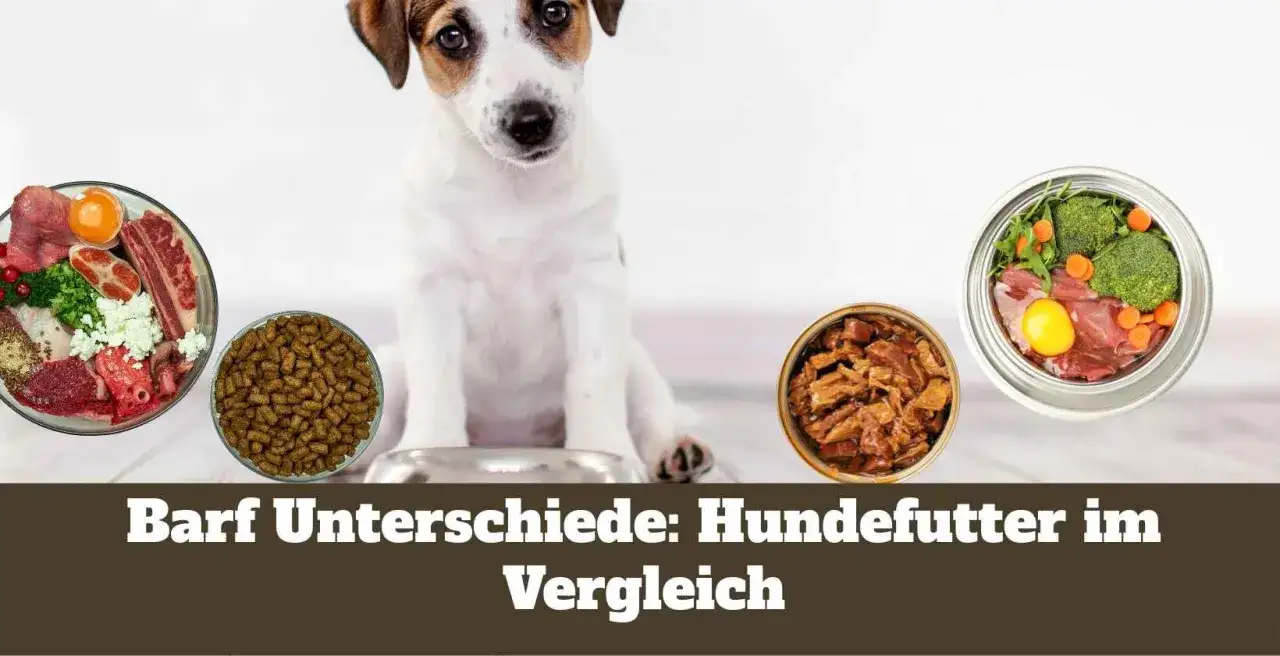 Ein s&uuml;&szlig;er Hund sitzt vor Sch&uuml;sseln mit trockenfutter oder barf. Der Vergleich zeigt verschiedene Futteroptionen f&uuml;r Hunde.