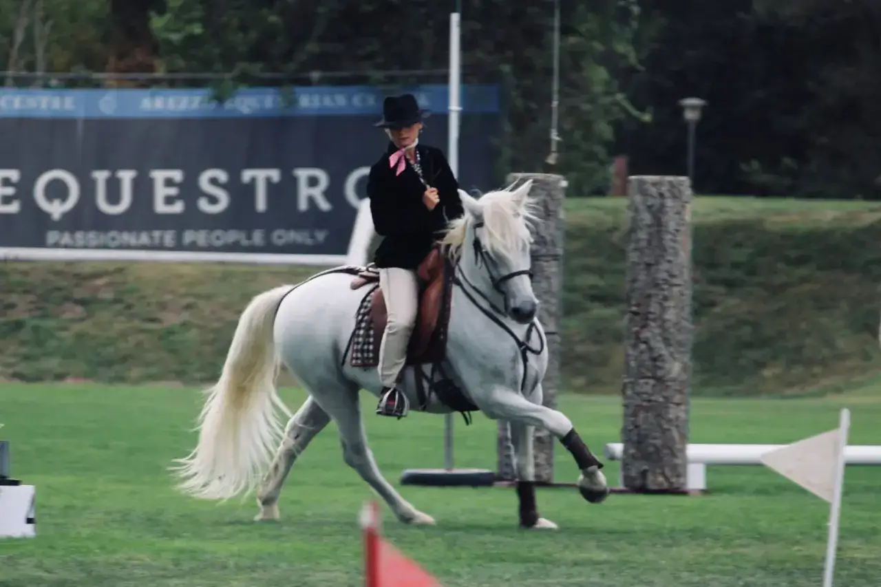 Une cavalière en chapeau noir et veste exécute un mouvement de **cheval dressage** sur un magnifique cheval blanc.