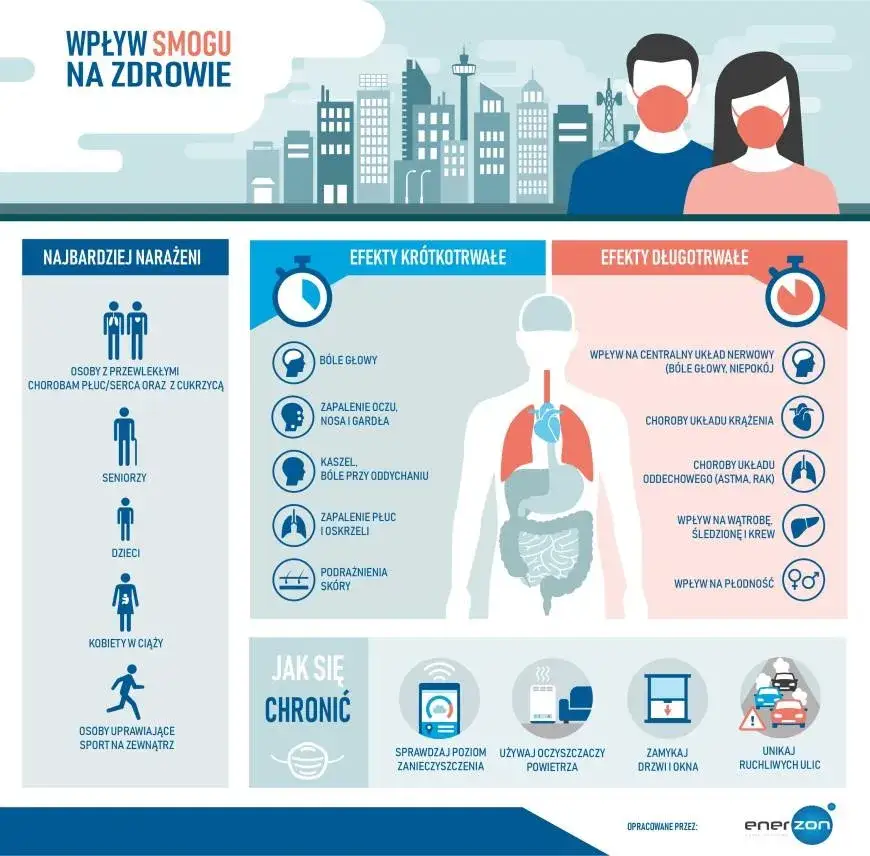 skład smogu infografika