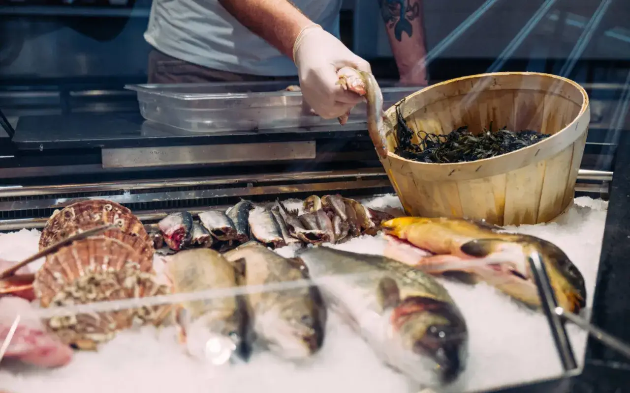 Frischer Fisch auf Eis: Jakobsmuscheln, Heringe, Makrelen und andere Fischarten zum Essen werden in einer Auslage pr&auml;sentiert.