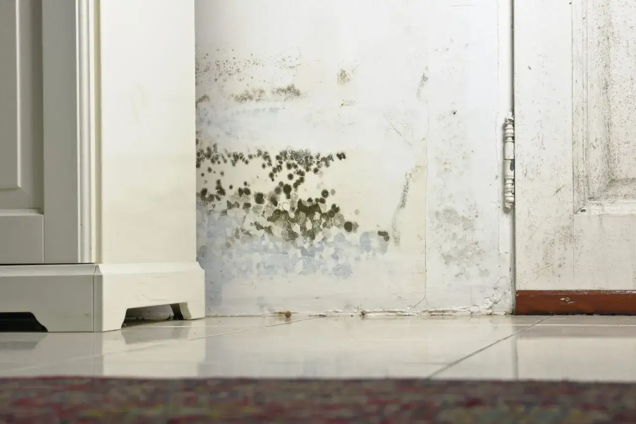 Manchas de moho en la pared, indicativo de alergia a la humedad como se llama. Se ve un mueble blanco y una puerta.
