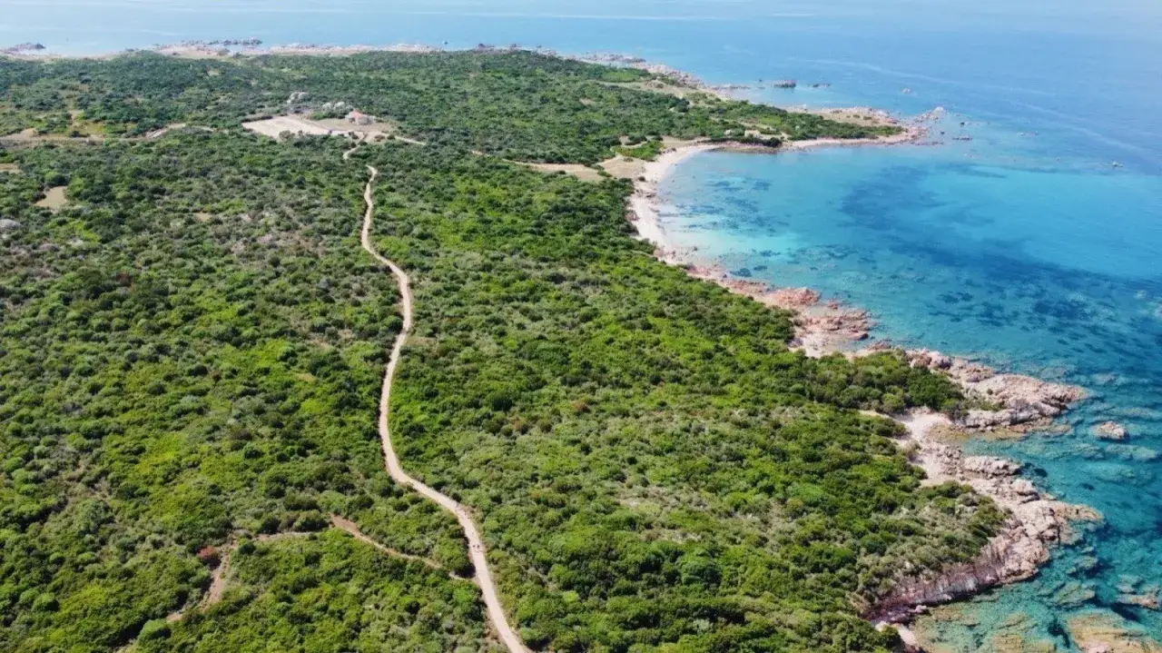 Ein Weg schlängelt sich durch üppige Vegetation zum Vignola Mare. Türkisfarbenes Wasser umspült felsige Küsten.