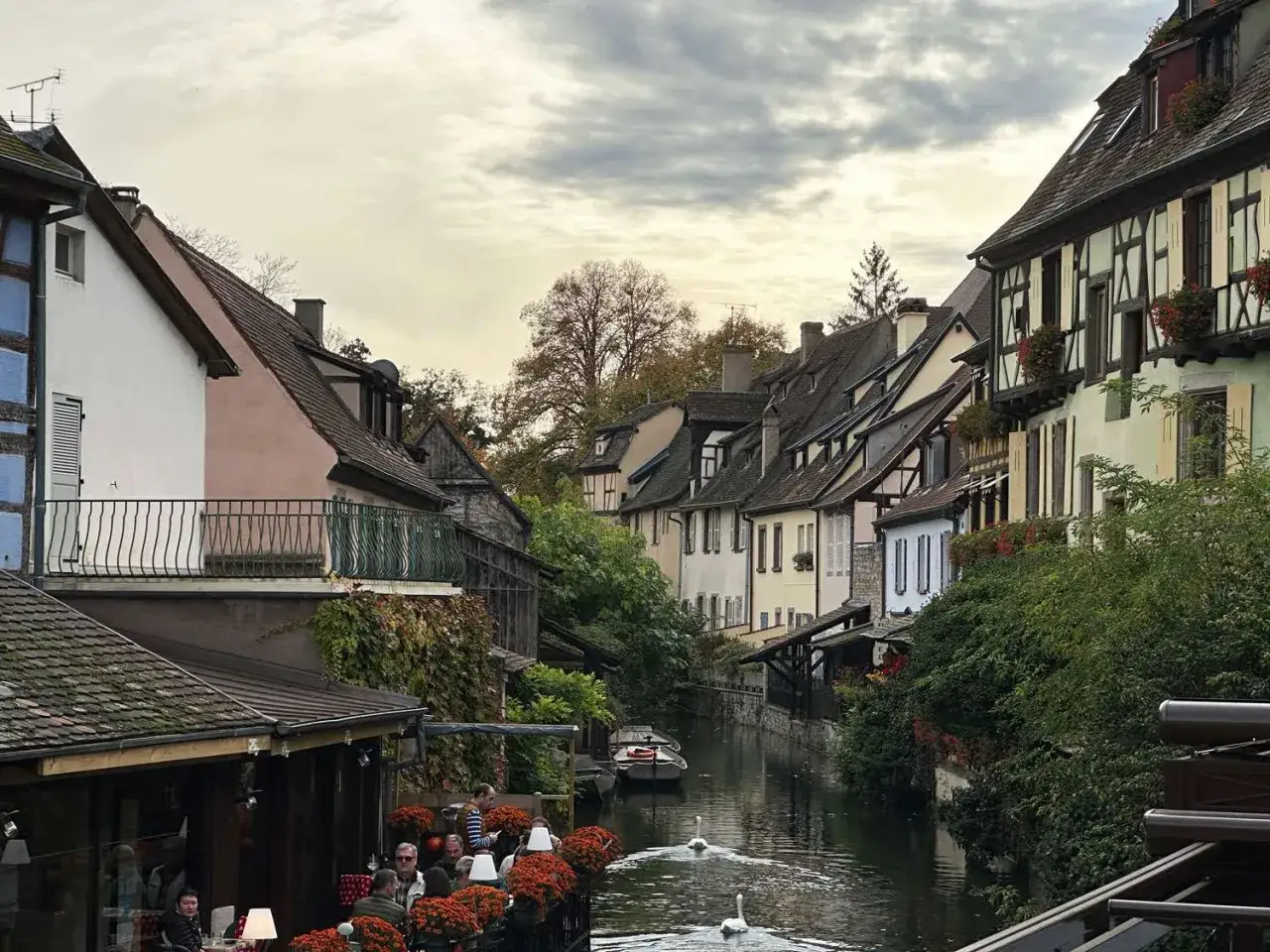 Malerische Kan&auml;le und Fachwerkh&auml;user in der Colmar Altstadt. Zwei Schw&auml;ne gleiten friedlich durch das Wasser, w&auml;hrend G&auml;ste auf Terrassen sitzen.