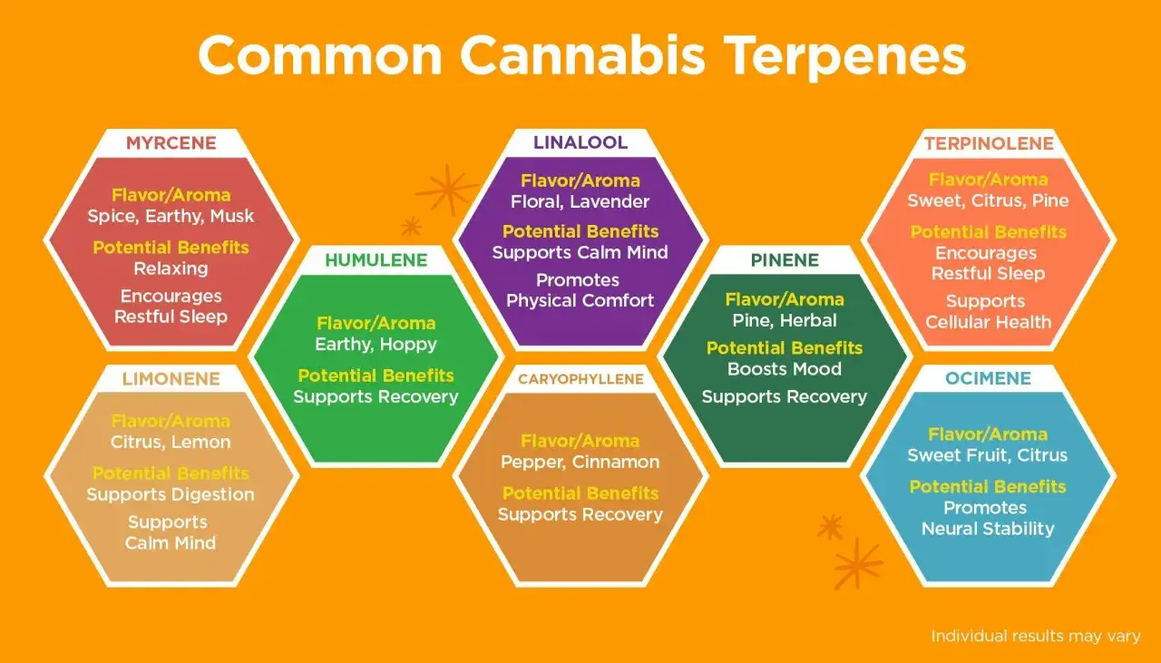 Diagrama de terpenos naturales de cannabis: Myrcene, Humulene, Limonene, Linalool, Caryophyllene, Pinene, Terpinolene, Ocimene, con sus aromas y beneficios.