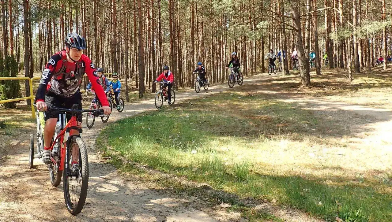 Grupa rowerzyst&oacute;w przemierza malownicze bory tucholskie, korzystając z licznych tras rowerowych.