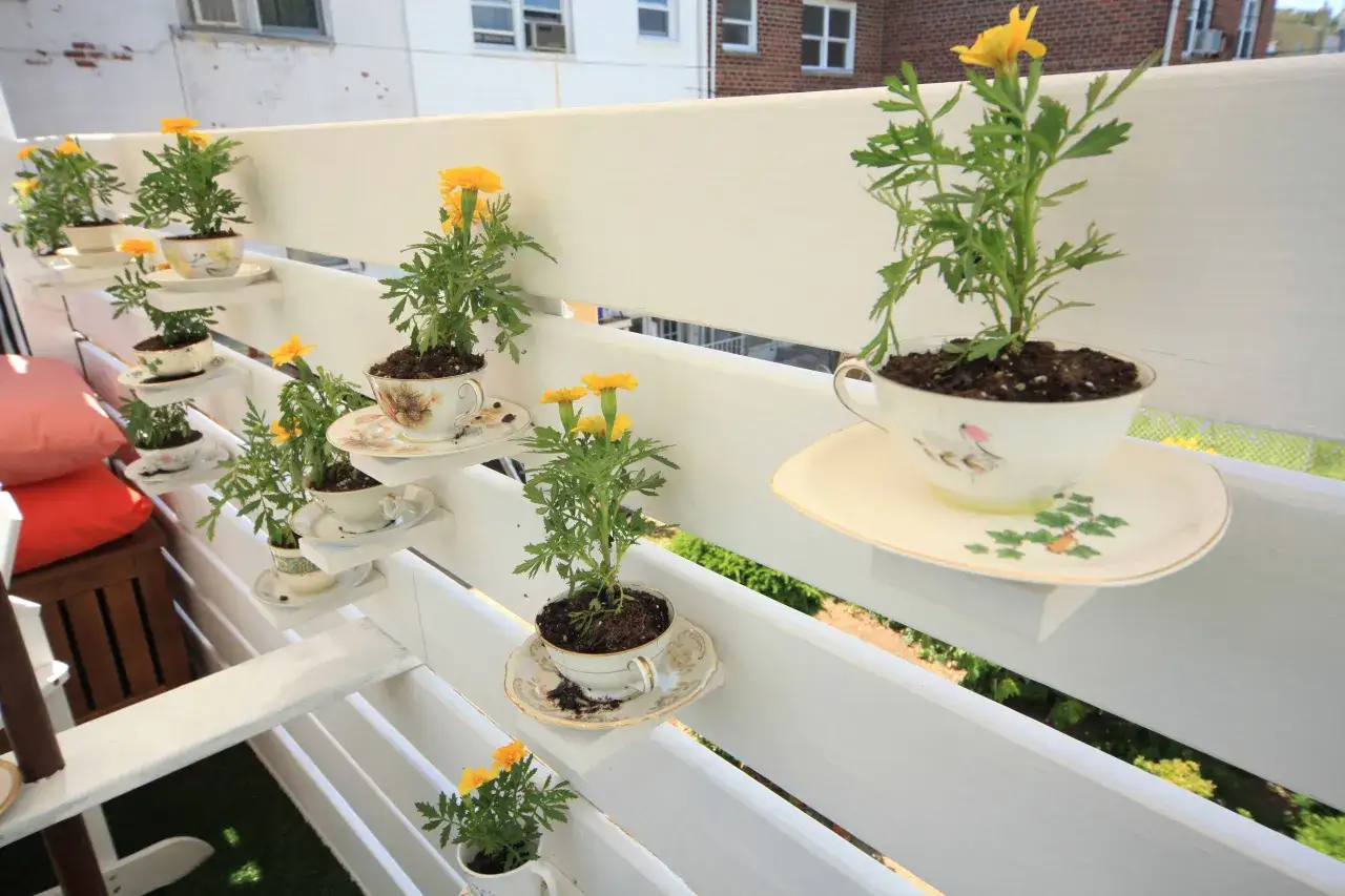 Kreative Idee: alte Tassen dekorieren und als Pflanzgef&auml;&szlig;e f&uuml;r kleine Blumen auf einem Balkongel&auml;nder nutzen. Gelbe Bl&uuml;ten leuchten.