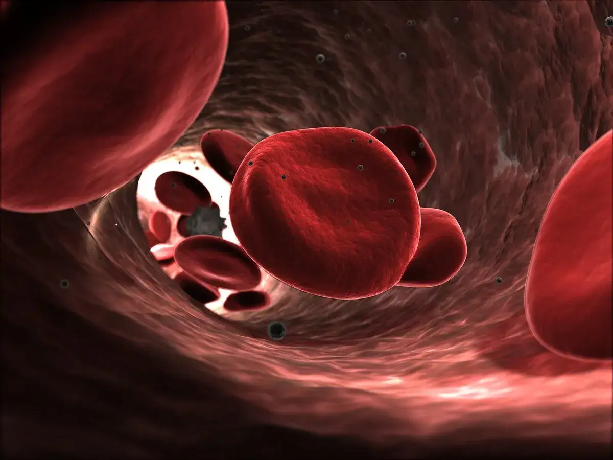 Anemia niedob&oacute;r żelaza krwinki czerwone