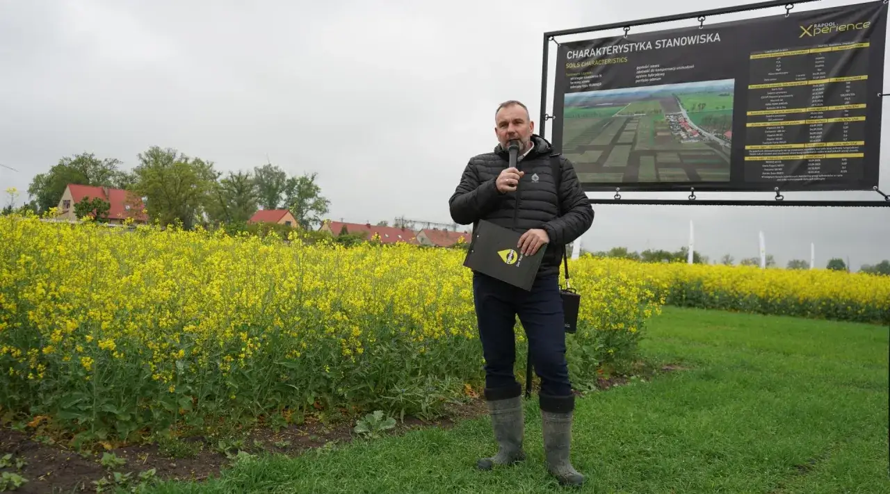 Mężczyzna przemawia na tle pola kwitnącego rzepaku hybrydowego, obok tablicy z charakterystyką stanowiska.