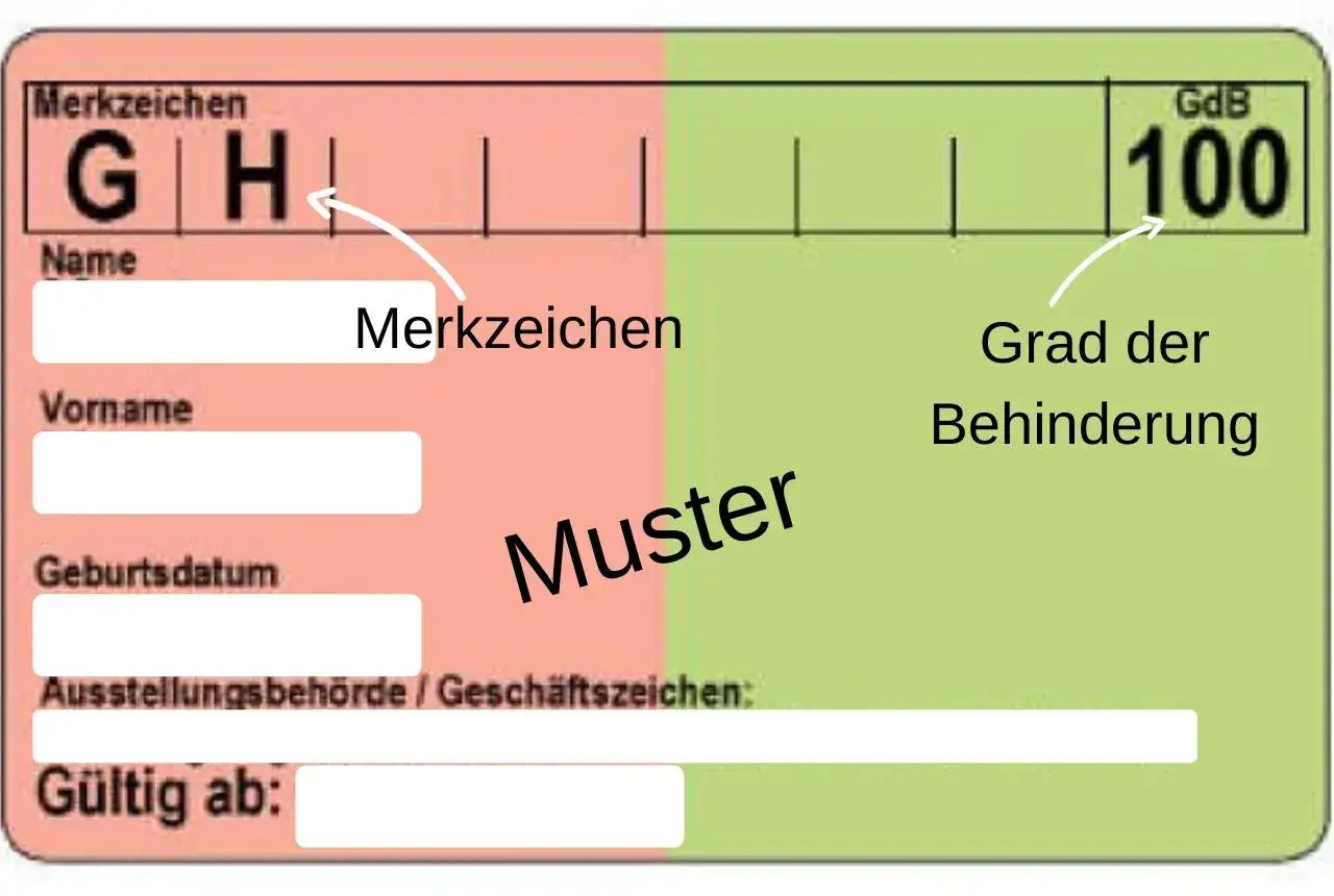 Ein Muster eines Schwerbehindertenausweises mit den Merkzeichen G und H, sowie dem Grad der Behinderung (GdB) von 100.