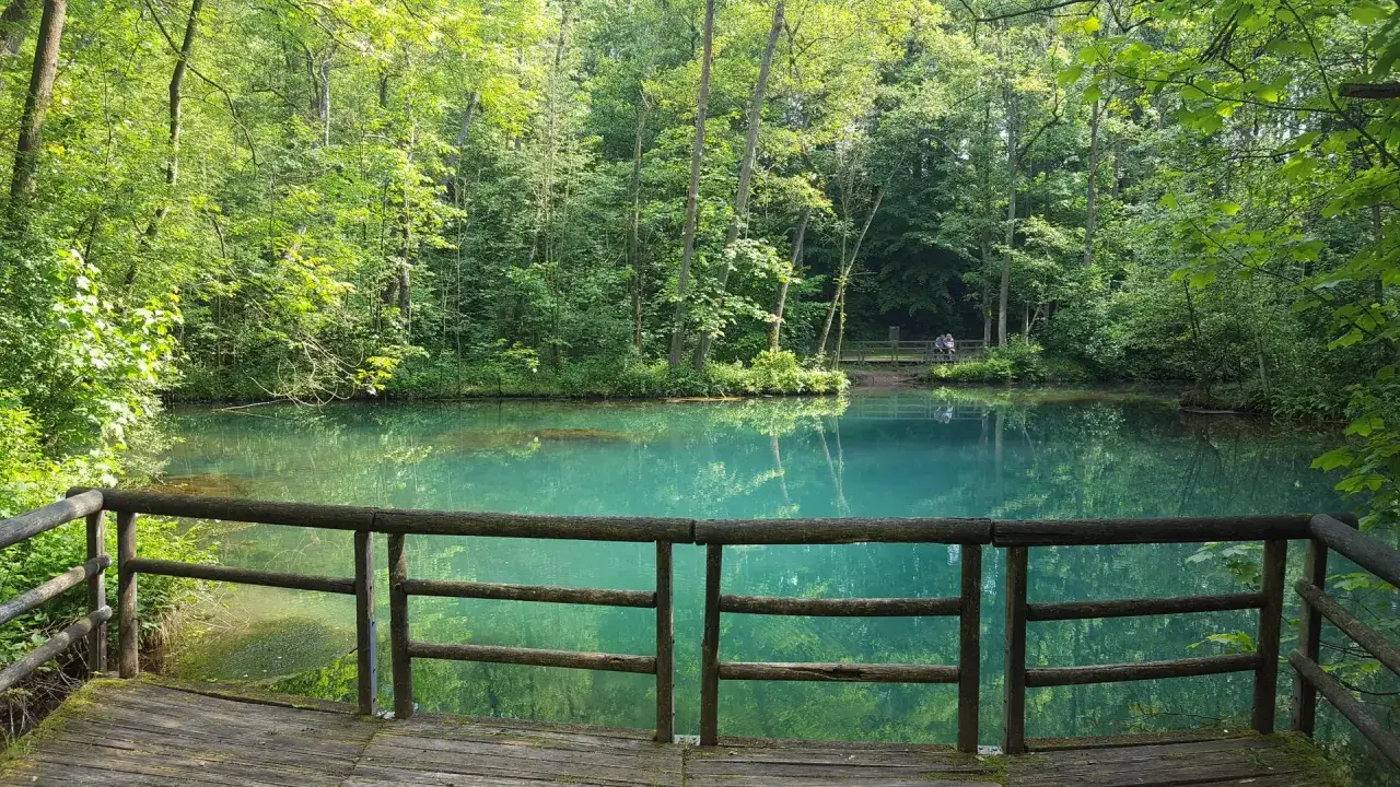 Idyllisches Naturbad Elbingerode mit t&uuml;rkisblauem Wasser, umgeben von &uuml;ppigem Gr&uuml;n. Ein Holzsteg mit Gel&auml;nder f&uuml;hrt zum Ufer.