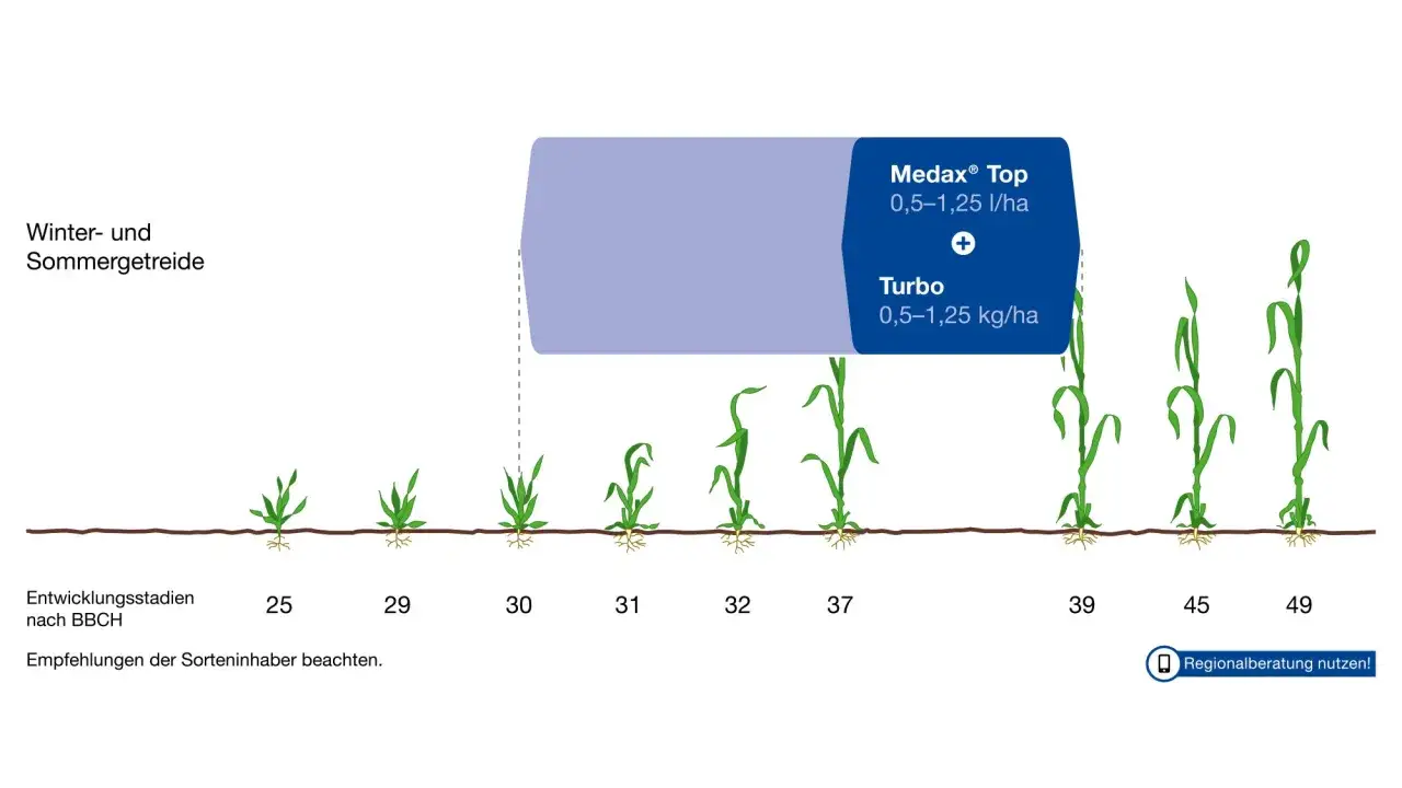 Wachstumsregler f&uuml;r Weizen: Medax&reg; Top und Turbo zur optimalen Entwicklung von Winter- und Sommergetreide in verschiedenen BBCH-Stadien.