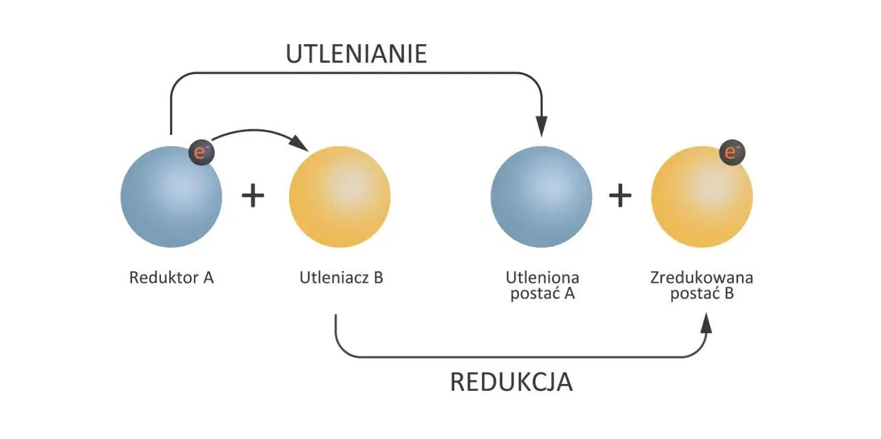 Schemat ilustruje reakcje redoks: reduktor A oddaje elektron utleniaczowi B, tworząc utlenioną postać A i zredukowaną postać B.