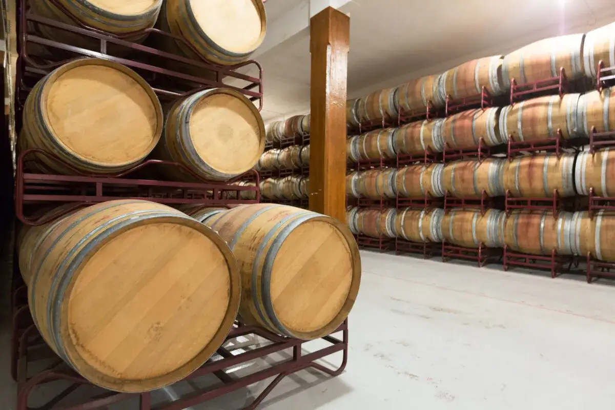 Cantine piene di barrique, botti di legno che custodiscono il significato dell'invecchiamento del vino.
