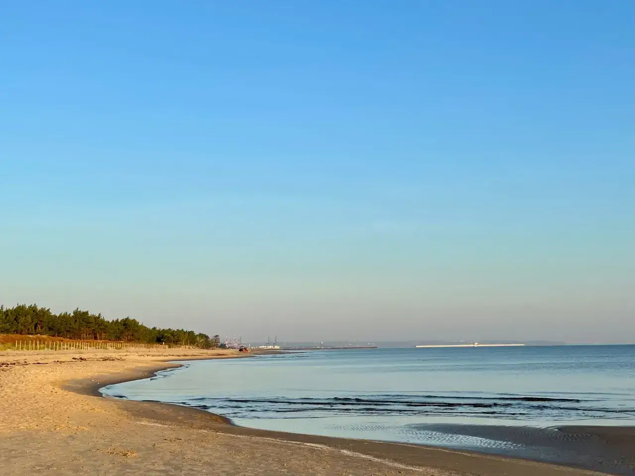 Spokojna plaża na Wyspie Sobieszewskiej, z lasem sosnowym w tle. W oddali widać portowe dźwigi, świadczące o atrakcjach okolicy.