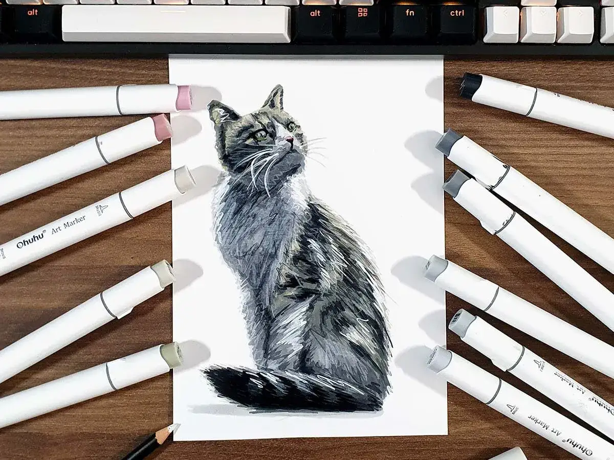 Un modèle pour dessiner un chat, entouré de marqueurs Ohuhu. Le chat est représenté avec des tons gris et bruns, le regard tourné vers le haut.