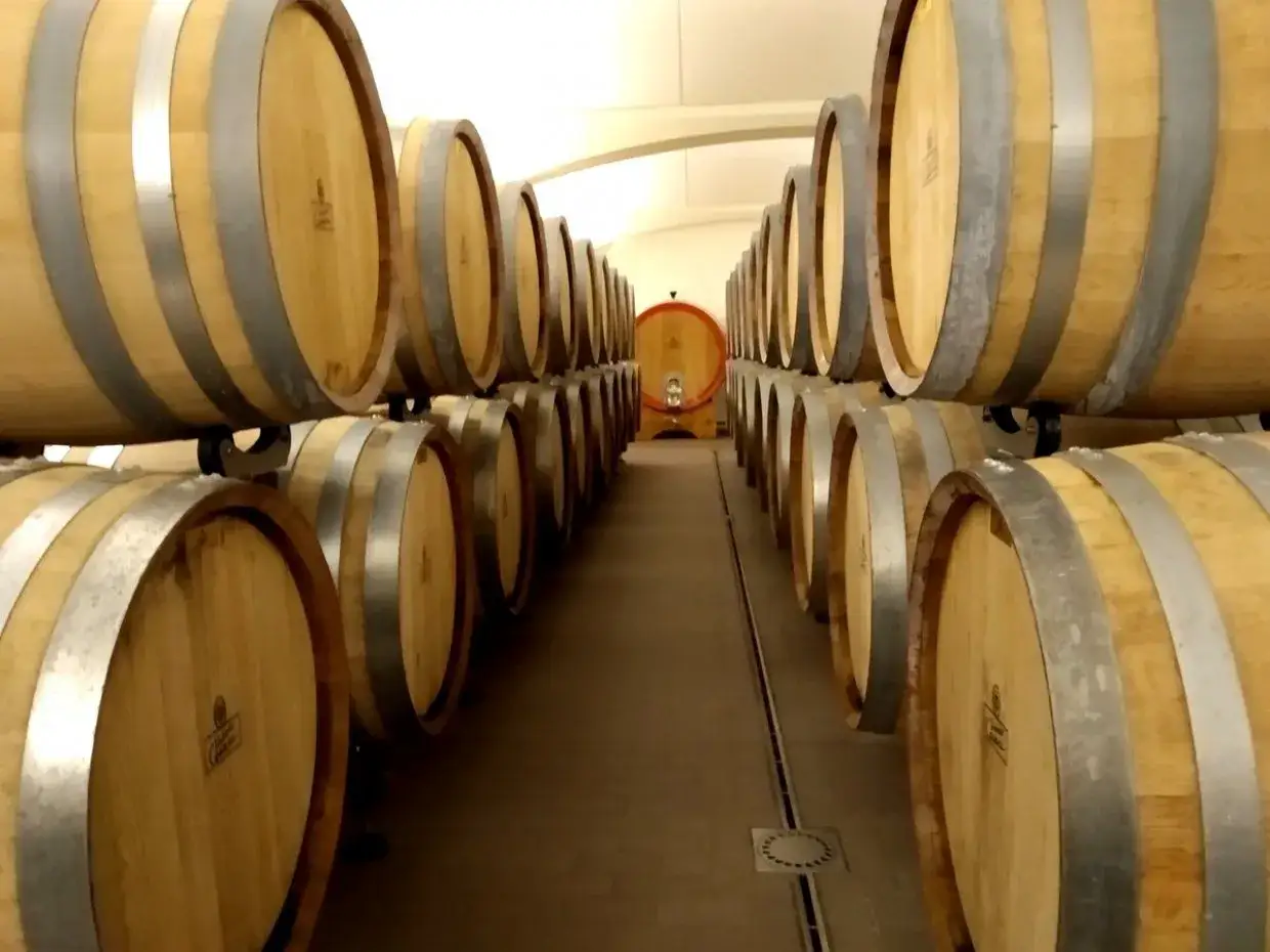 File di botti di legno in una cantina, pronte per affinare i pregiati vini dell'Emilia Romagna.