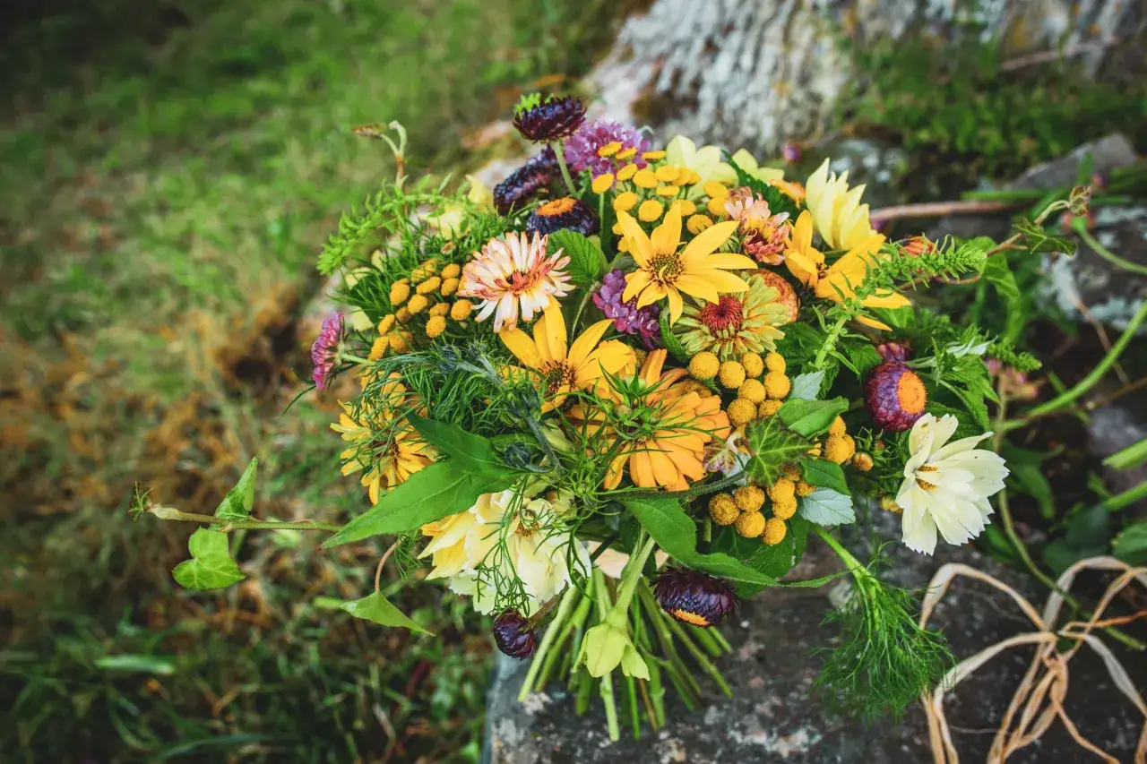 En vildvuxen bukett med många olika snittblommor sorter, som gula solrosor, lila klöver och vita kosmos, ligger på en sten.