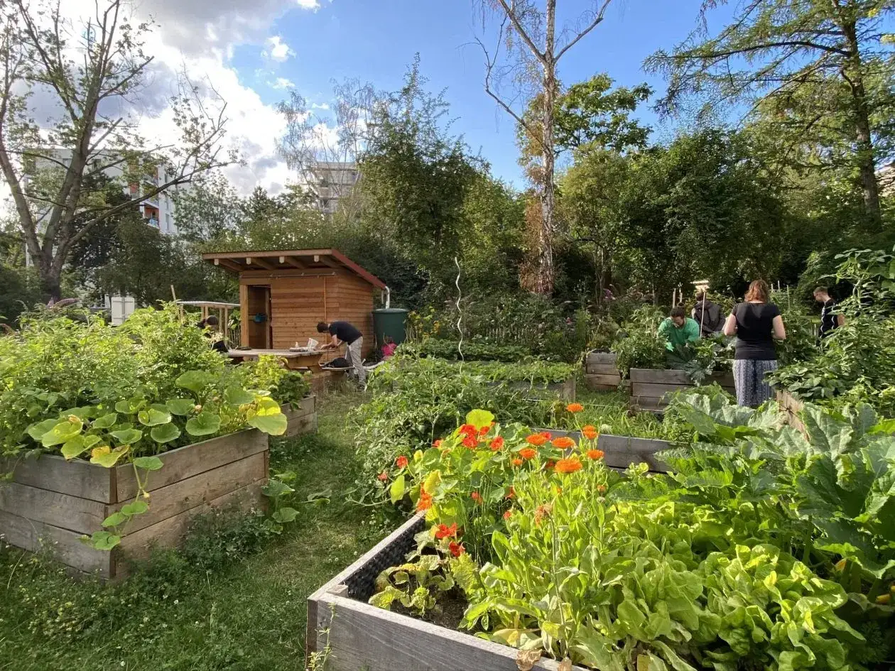 Menschen arbeiten in einem bl&uuml;henden Garten in Berlin. &Uuml;ppiges Gr&uuml;n und bunte Blumen gedeihen in Hochbeeten, eine kleine Holzh&uuml;tte steht im Hintergrund.