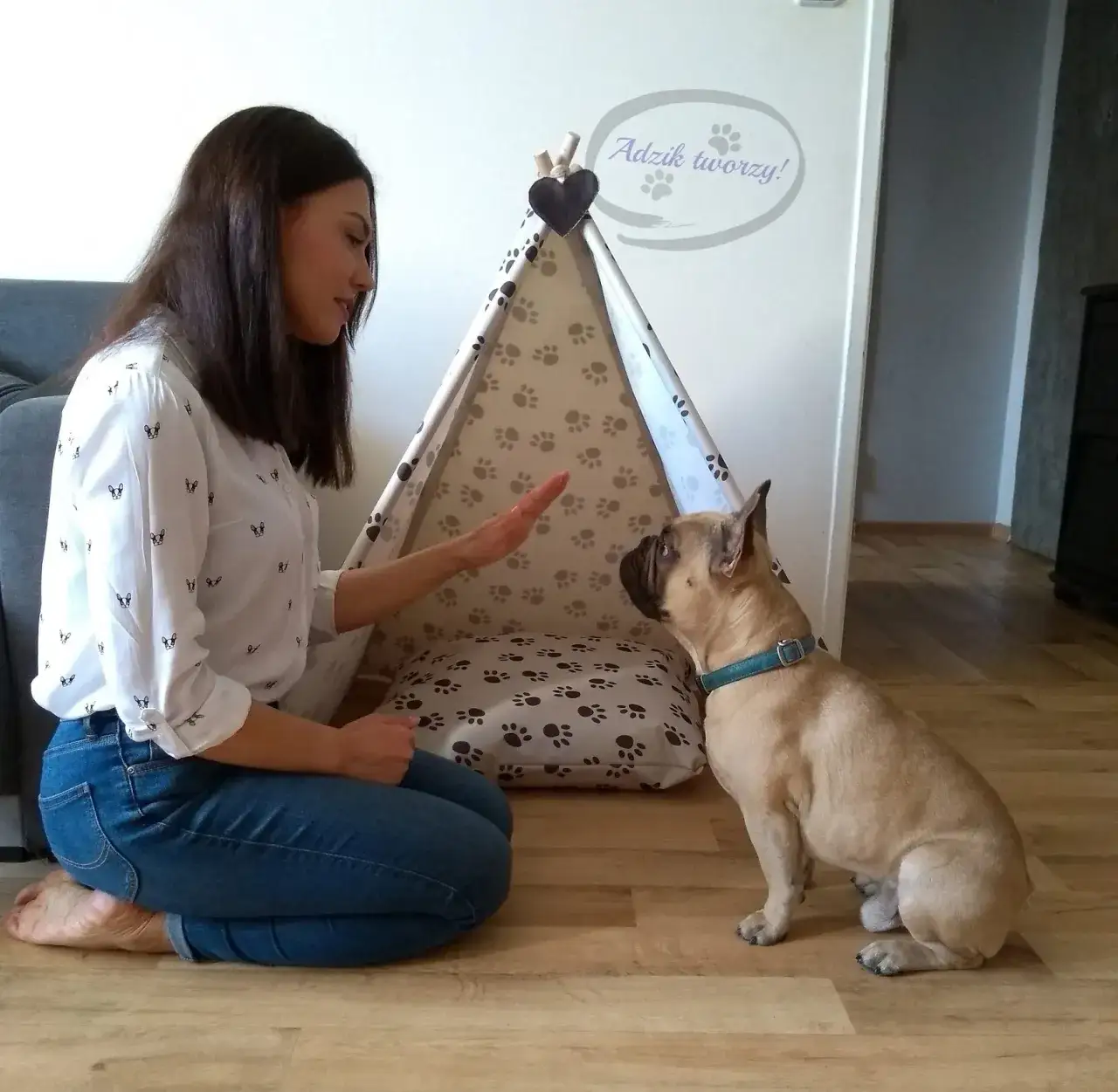 problemy z tipi dla psa diy