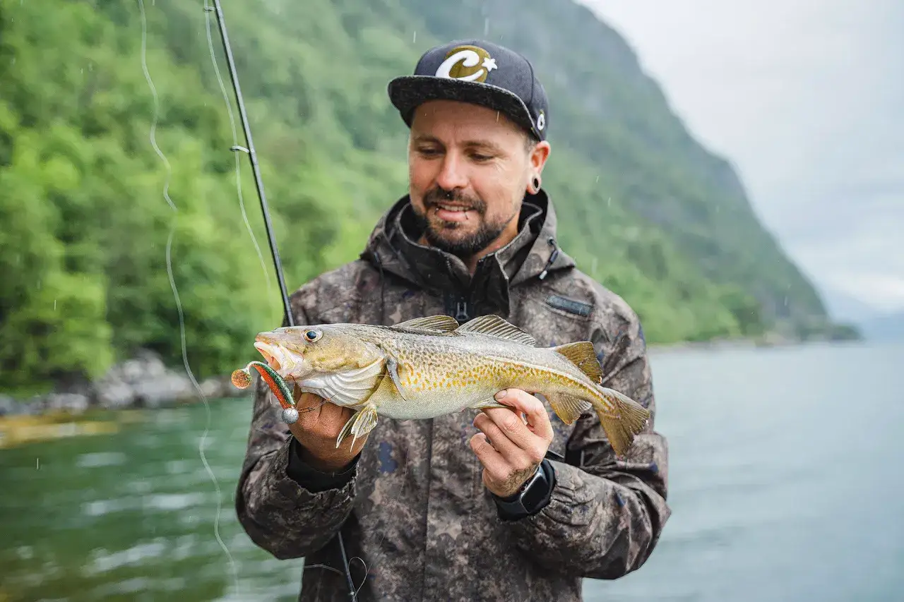 Gl&uuml;cklicher Angler mit frisch gefangenem Dorsch beim Dorsch angeln Norwegen. Die Berge im Hintergrund sind gr&uuml;n und neblig.
