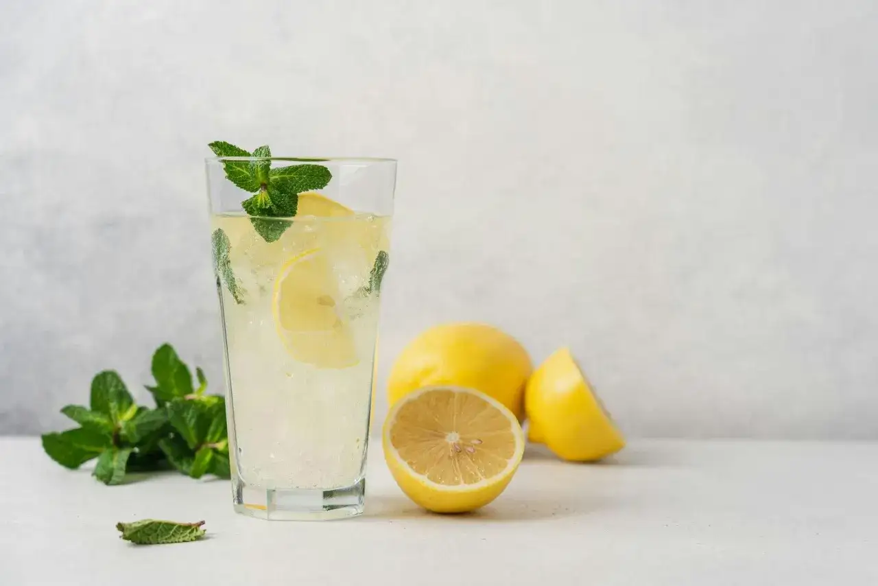 Erfrischendes Zitronen-Minz-Getränk mit Eis, Zitronenscheiben und Minze. Eine tolle **Gin Tonic Alternative** für heiße Tage.