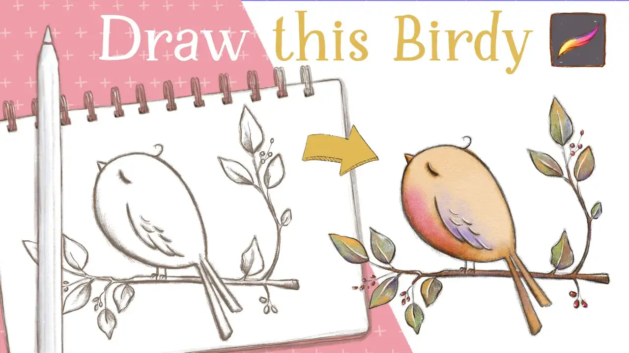 Un dessin oiseau sur une branche facile, du croquis au coloriage.