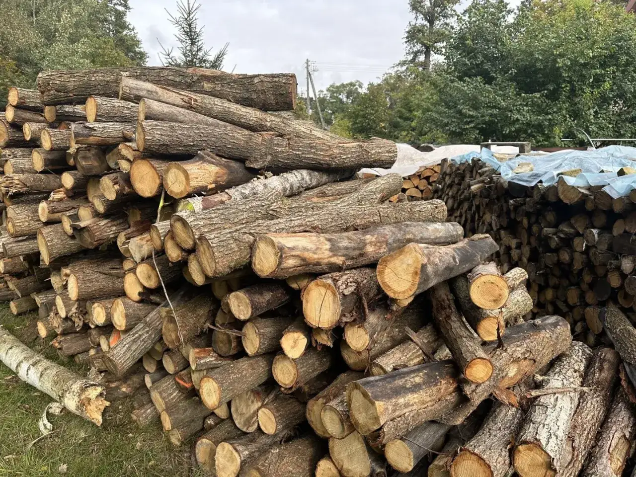 Drewno opałowe na sprzedaż