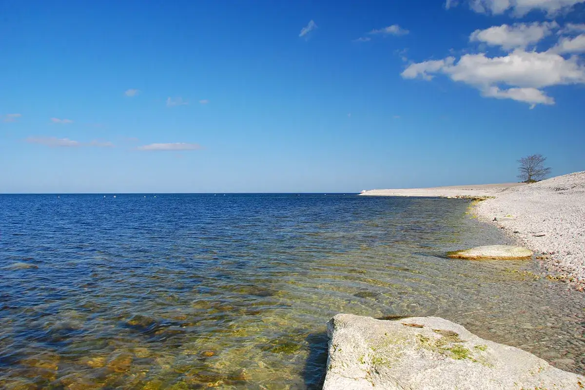 Spokojne, czyste wody Bałtyku obmywają kamienistą plażę w Szwecji. Na horyzoncie błękit nieba łączy się z morzem.