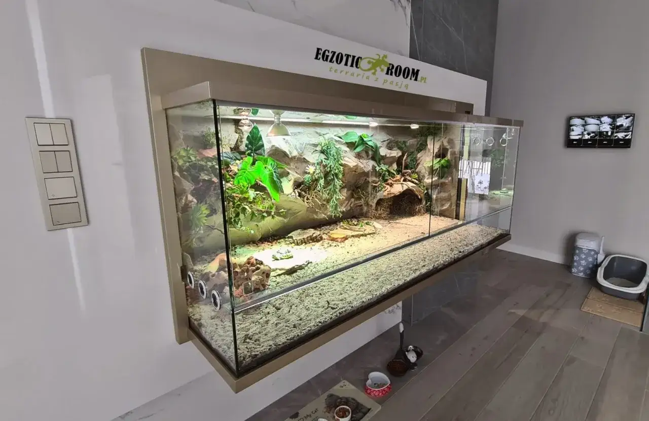 Wielkie terrarium z bujną roślinnością i piaskiem, idealne dla żółwia domowego.