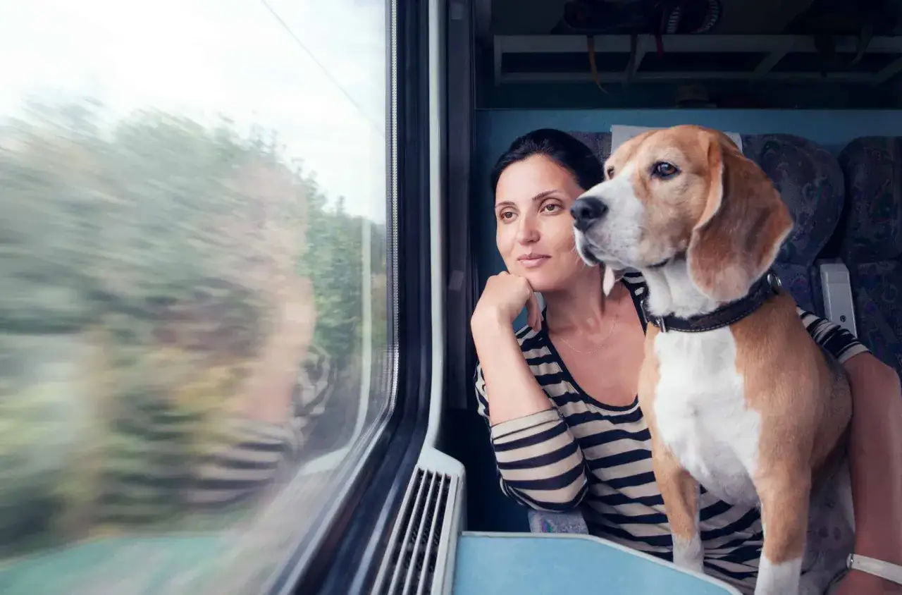 Une femme et son chien regardent par la fen&ecirc;tre d'un train, pr&ecirc;ts &agrave; partir en vacances avec son chien.