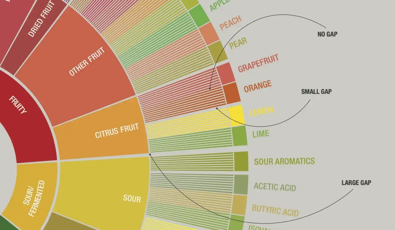 Diagram koła smaków kawy. Pokazuje, jak **acidity kawa co to znaczy** - od owocowych po kwaśne nuty, jak cytryna czy ocet.