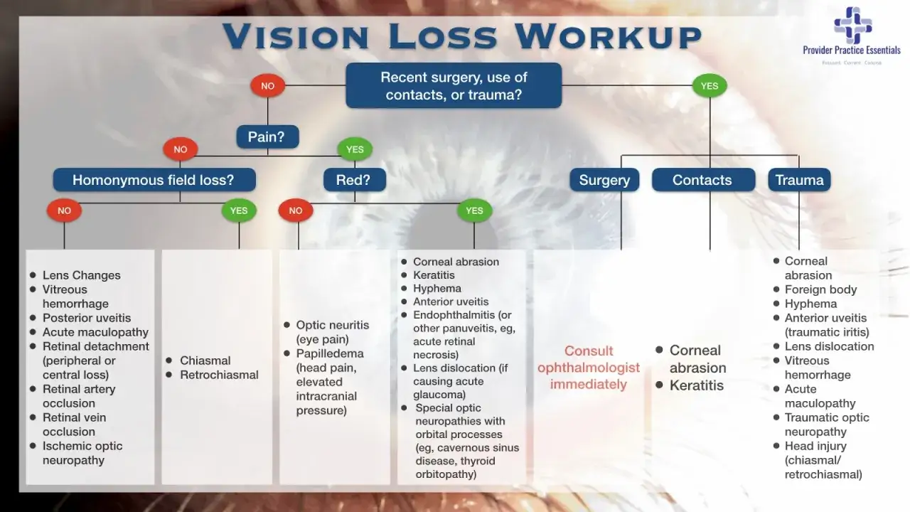 Schemat diagnostyczny utraty wzroku. Wskazuje na neuropatię nerwu wzrokowego jako możliwą przyczynę.