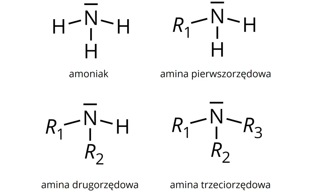 Schematy budowy amoniaku (NH₃) i amin: pierwszorzędowej, drugorzędowej i trzeciorzędowej.