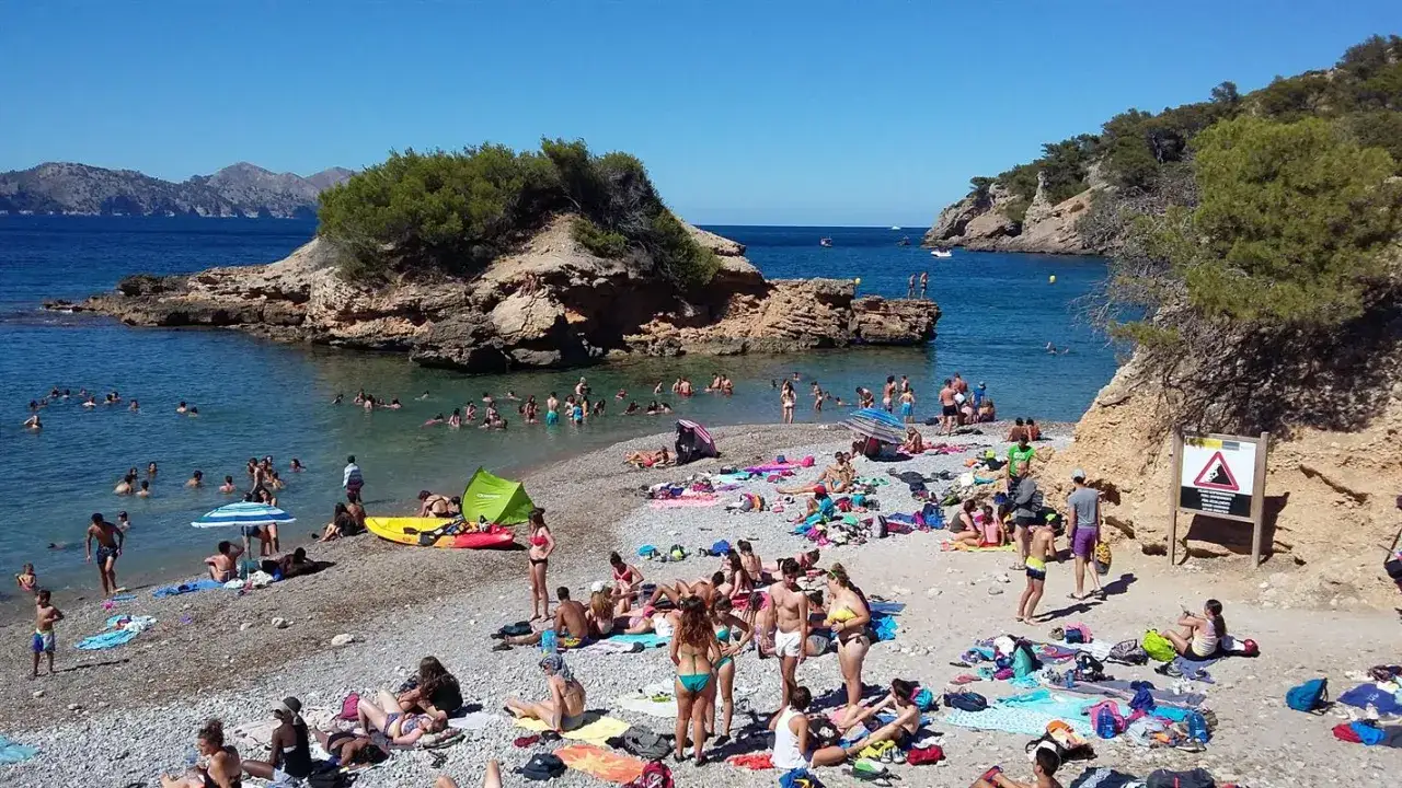 Majorka plaża rodzinna Alcudia
