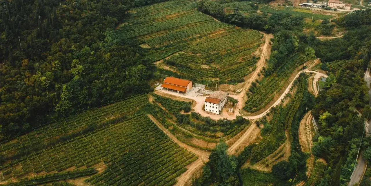 Vigneti lussureggianti e case rurali in collina, perfetti per i tuoi viaggi enogastronomici in Italia.