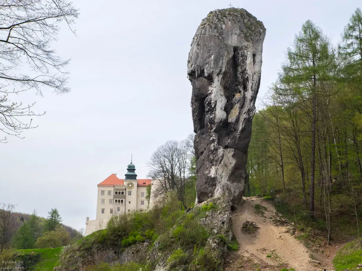 Park Orlich Gniazd atrakcje: potężna skała i zamek na wzg&oacute;rzu. Malowniczy krajobraz Jury.