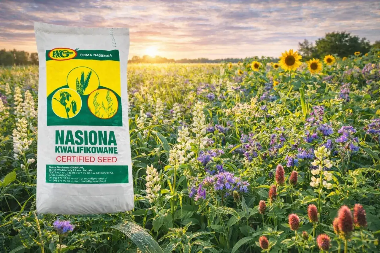 Poplon pod kukurydzę – worek kwalifikowanych nasion na tle kwitnącego pola.