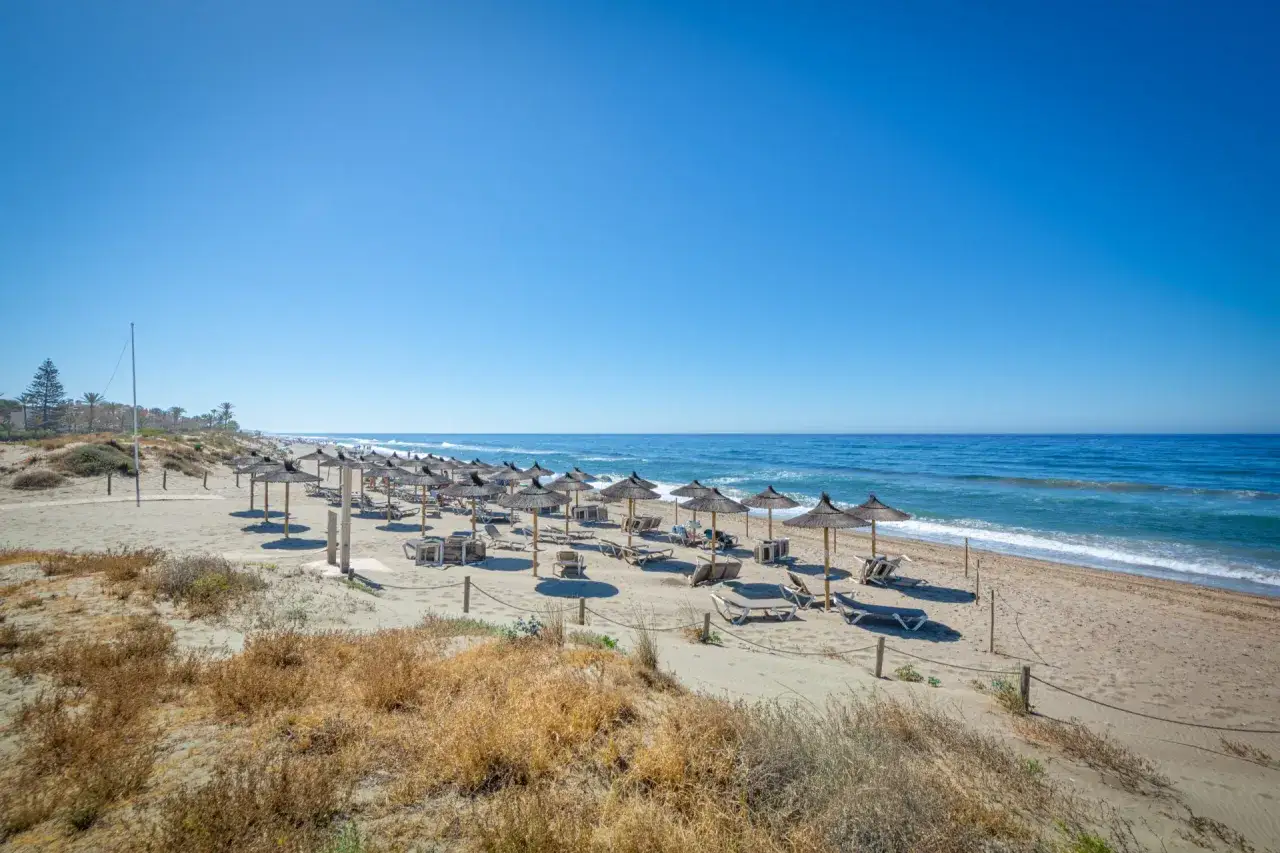 Słoneczny marbella beach z rzędami parasoli i leżaków, gotowy na gości. Błękitne morze i niebo tworzą idealne tło.