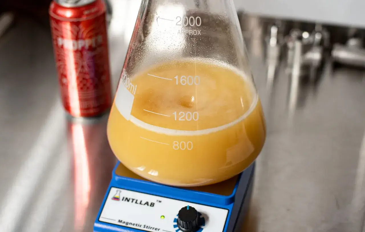 Un erlenmeyer rempli d'un liquide jaune trouble, sur un agitateur magnétique. Une canette rouge est floue en arrière-plan. C'est une étape pour savoir comment faire sa levure.