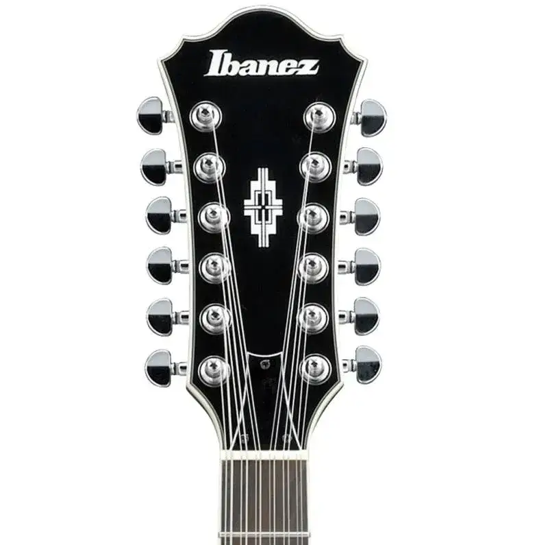 gitara elektryczna 12 strunowa